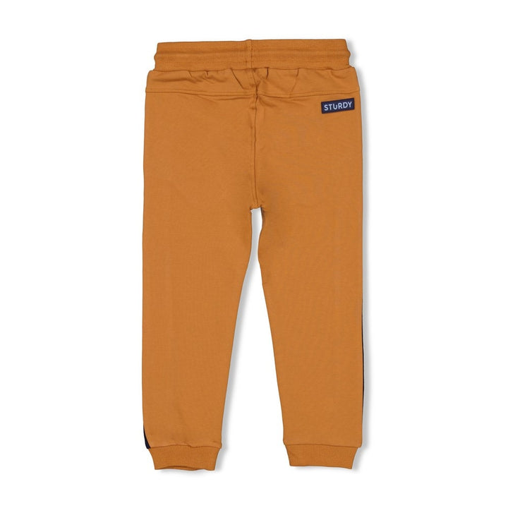 Broek Hazelnoot - Waves and Whales