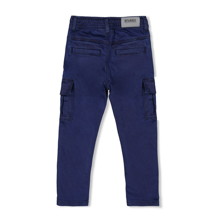 Cargo broek Marine - Waves and Whales