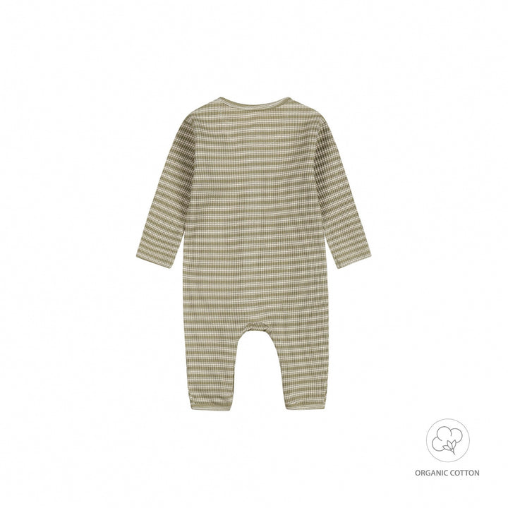 Boxpak organic cotton Light faded green - BOYS 2024