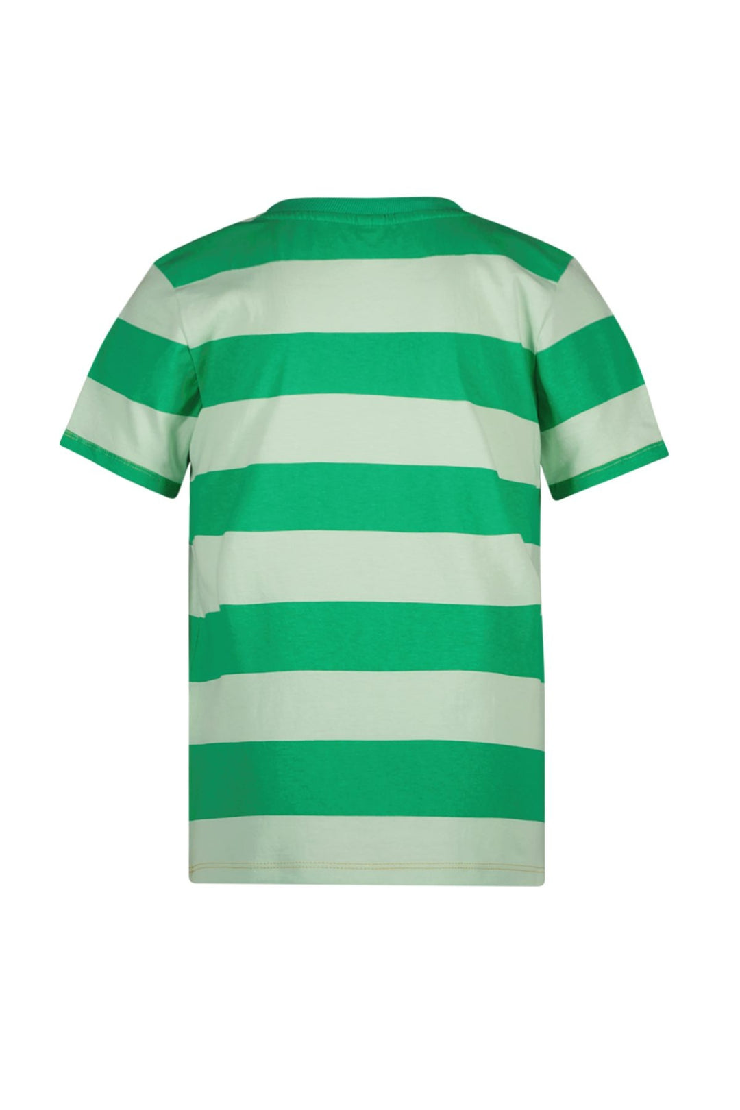 Kids T - shirt Timmy striped t - shirt Ice Green