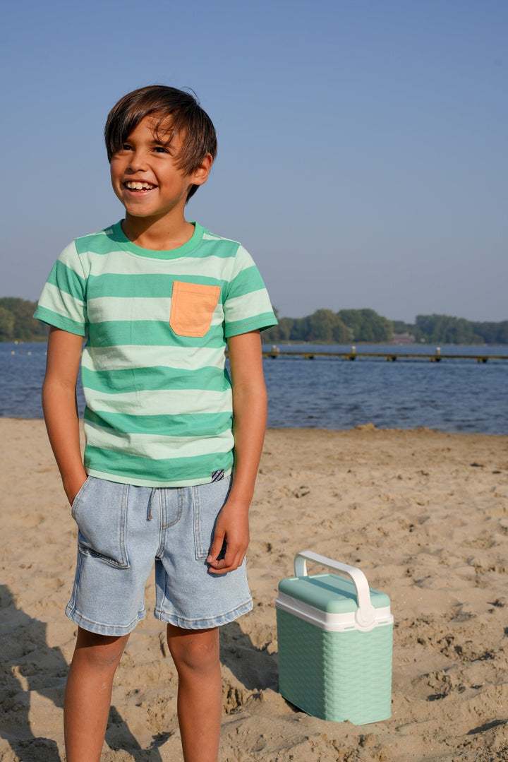 Kids T - shirt Timmy striped t - shirt Ice Green